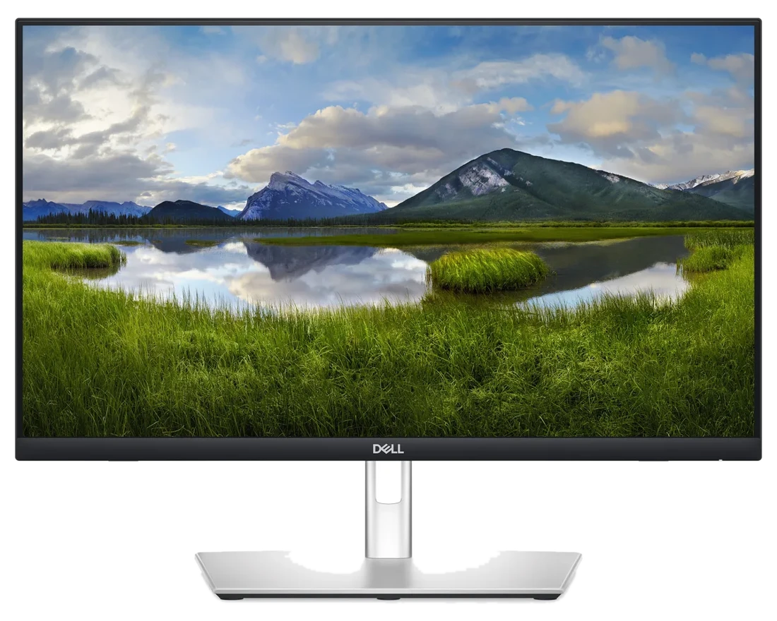 DELL P Series P2424HT computer monitor