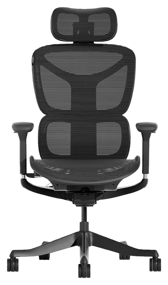 Welax DE S9 Standard Ergonomischer Bürostuhl mit Ein-Tasten-Verstellung
