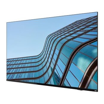 LENOVO ThinkVision E55 LFD 138,68cm TS