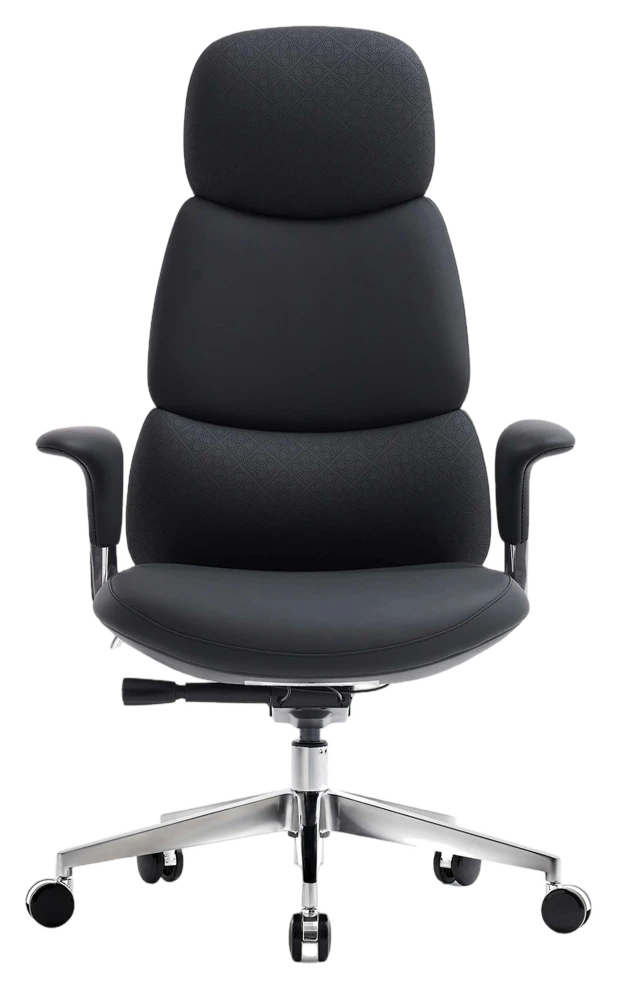 Welax DE Omidi Nyla – Exklusiver ergonomischer Lederstuhl