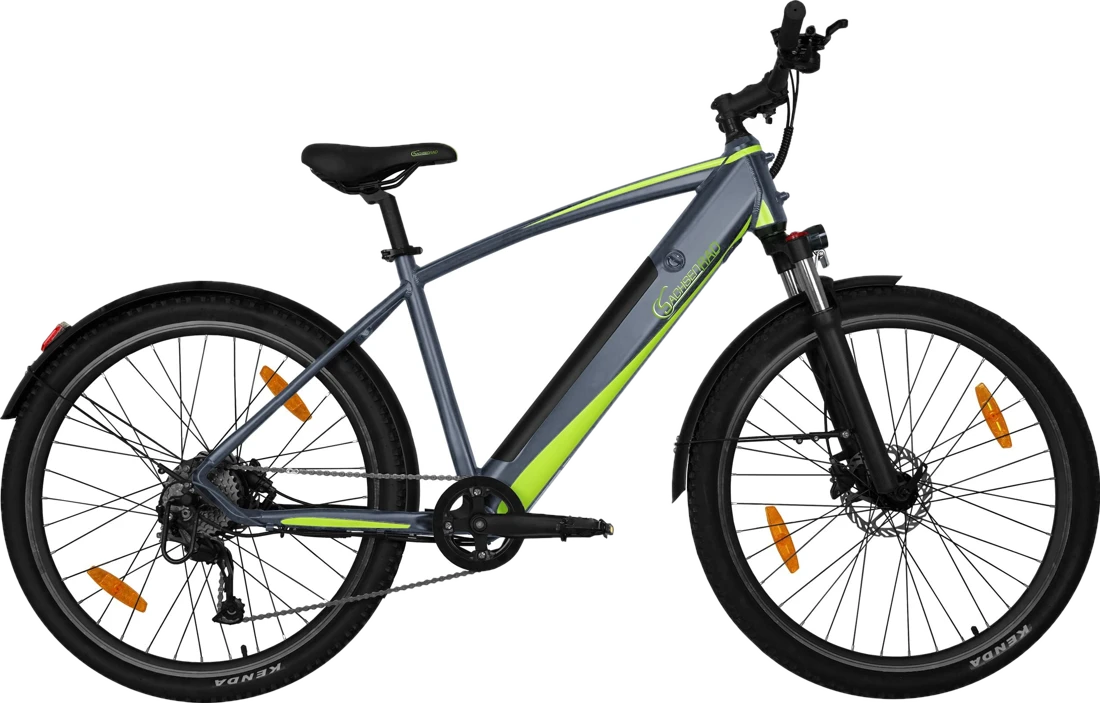 SachsenRAD E-Racing Mountain Bike R8 Flex III