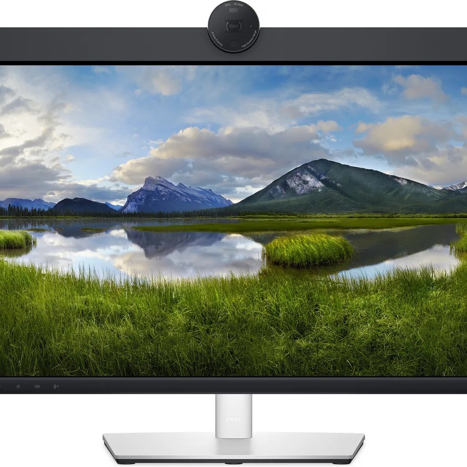 DELL P2424HEB