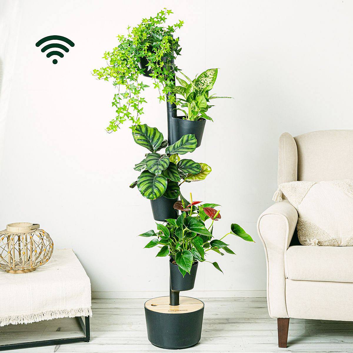 Be.Green Ebenholz SmartFlow Wifi M