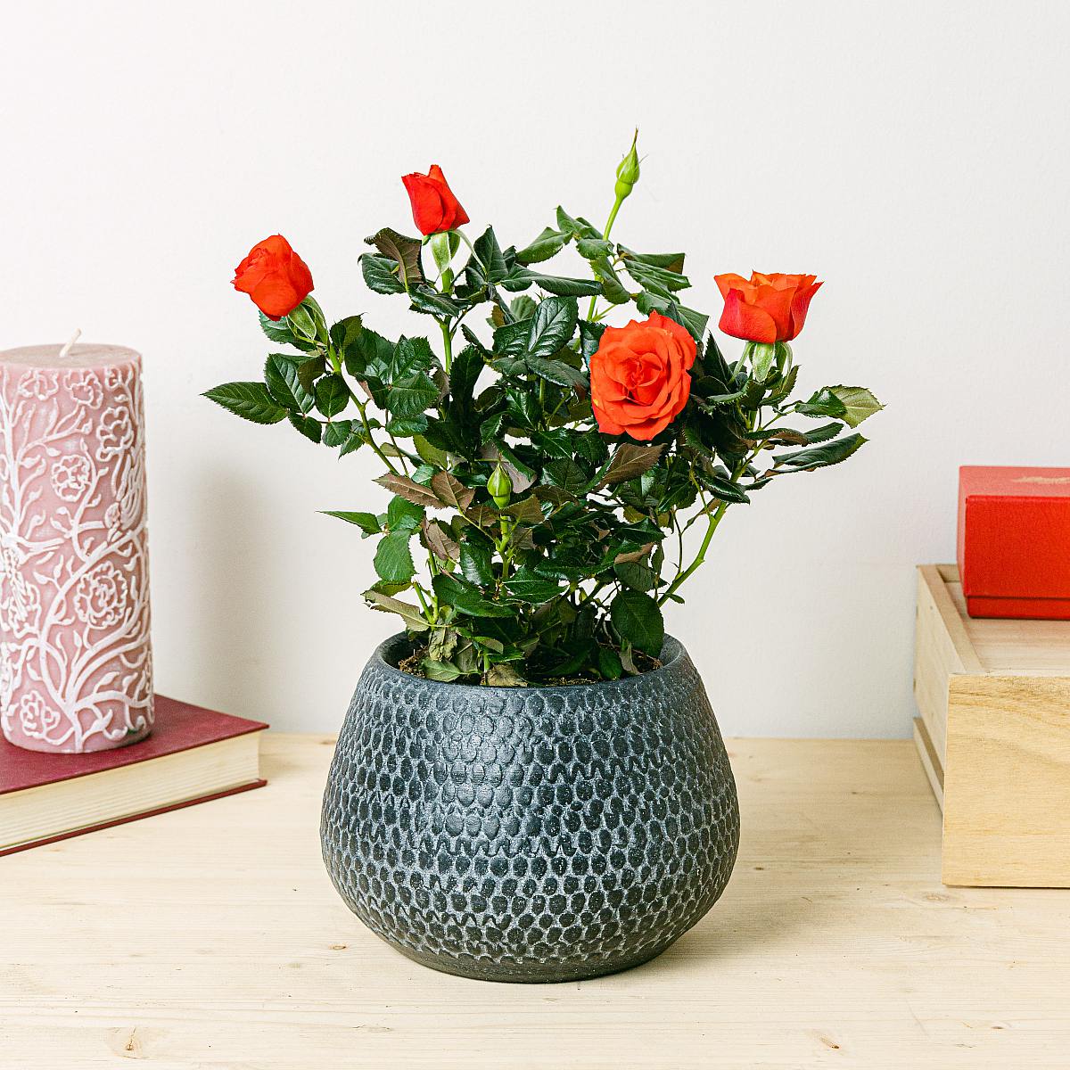 Be.Green Rote Rose
