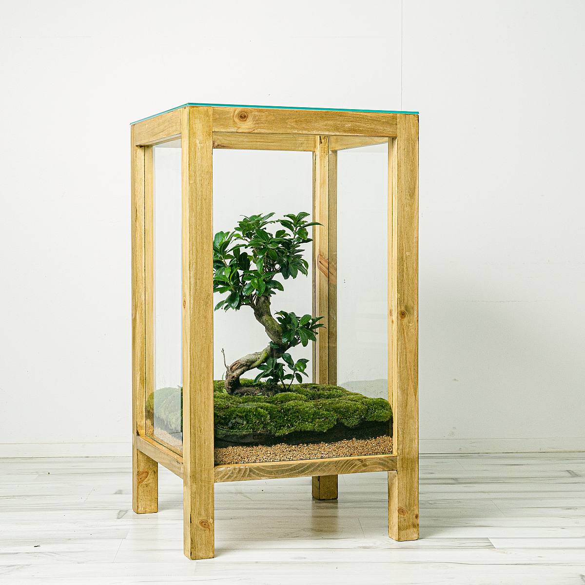 Be.Green Terrarium-Vitrinentisch „Verdrehter Wald“ mit Bonsai